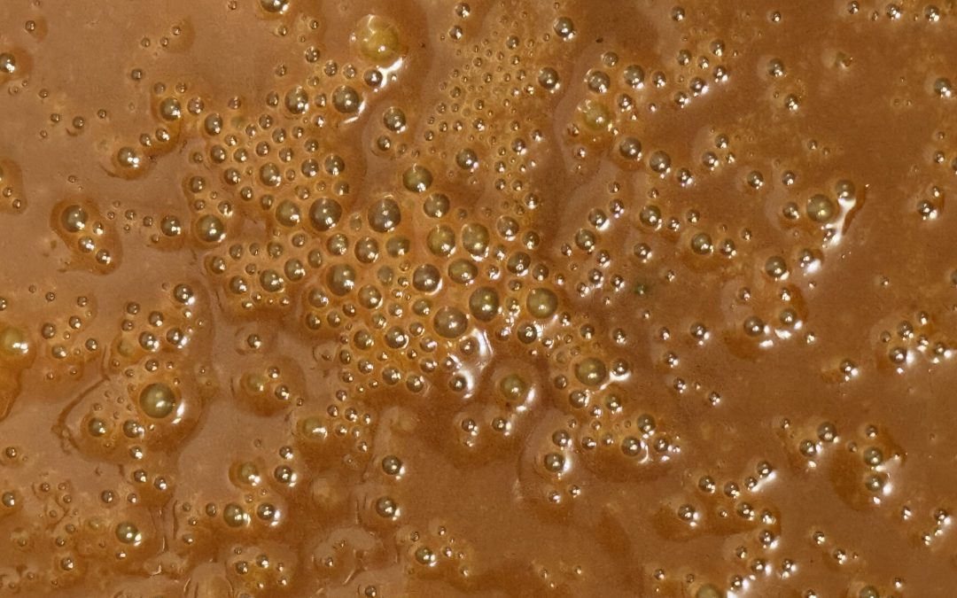 Hive Fermentation™ The Living Process Behind Bee Bread (Fermented Pollen+)