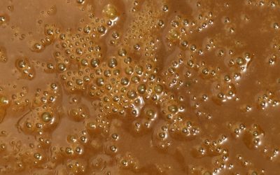 Hive Fermentation™ The Living Process Behind Bee Bread (Fermented Pollen+)