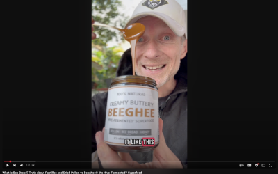 What is Bee Bread? Truth about Pastilles and Dried Pollen vs Beeghee® the Hive-Fermented™ Superfood