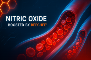 Nitric Oxide boosted by Beeghee®