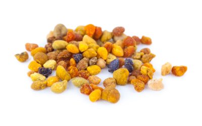 Bee Bread vs. Bee Pollen & Why Beeghee Is in a Class of Its Own